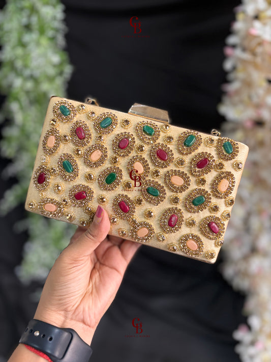 Tanu Multi color clutch