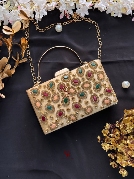 Tanu Multi color clutch